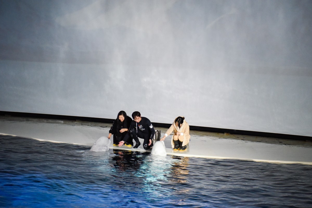 家。。。。。。。。。。。。。