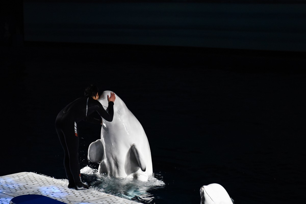 家。。。。。。。。。。。。。