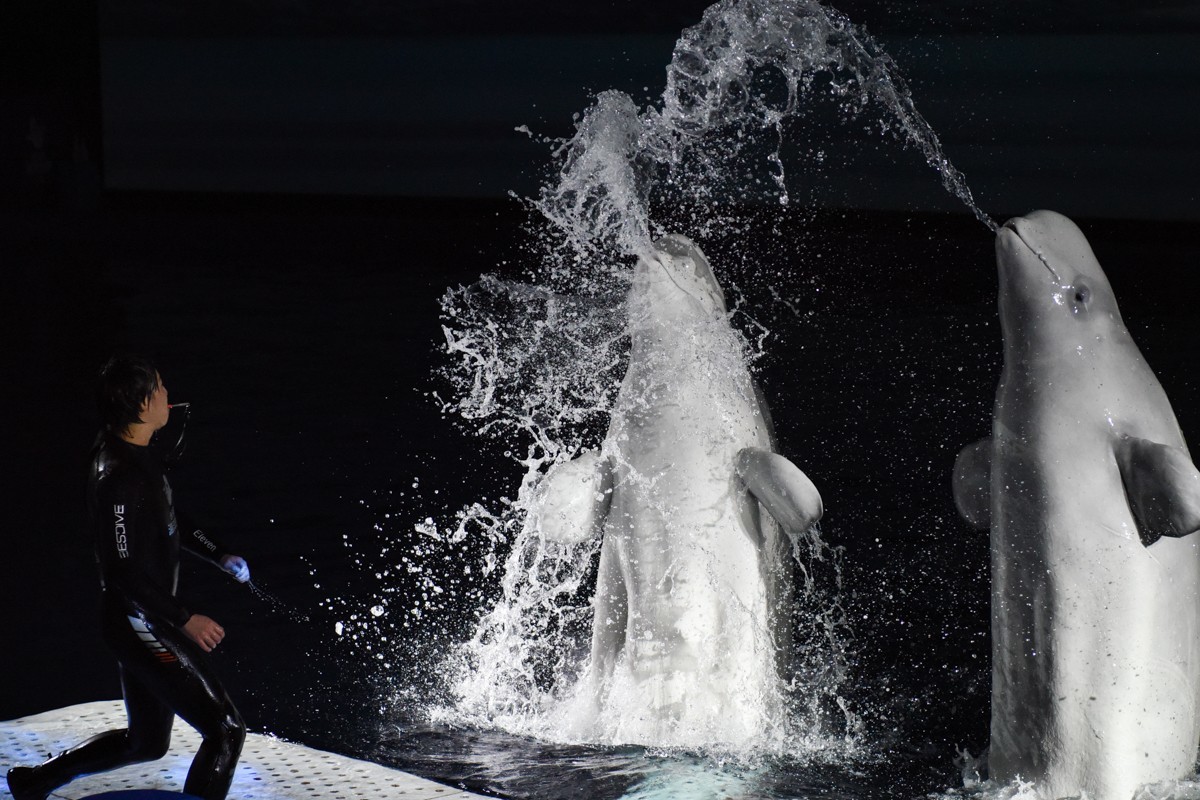 家。。。。。。。。。。。。。