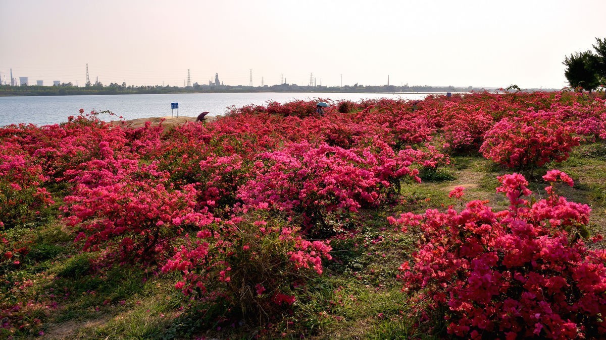 露天矿公园随拍