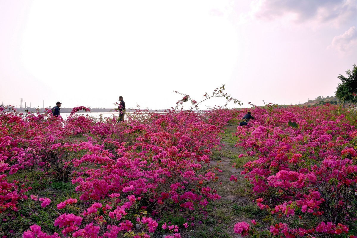 露天矿公园随拍