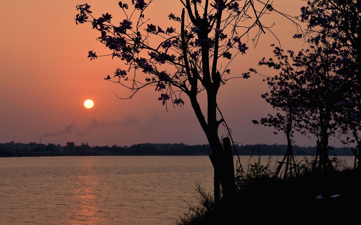 露天矿公园随拍