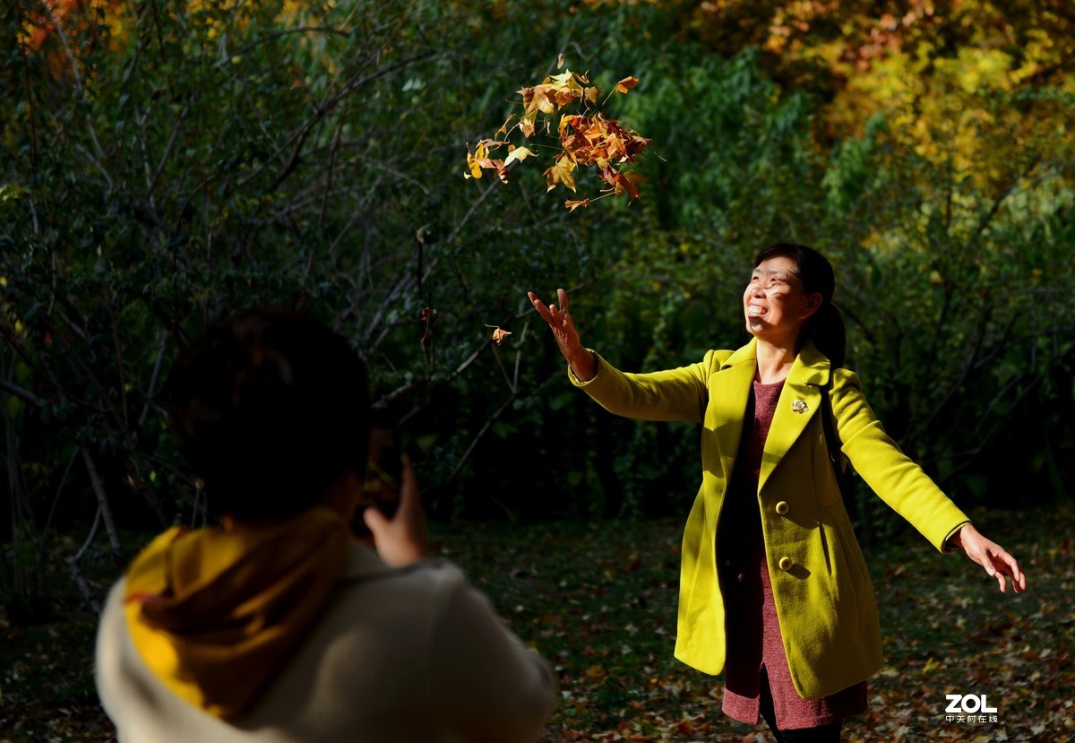 #ZOL月赛晒秋#金秋乐