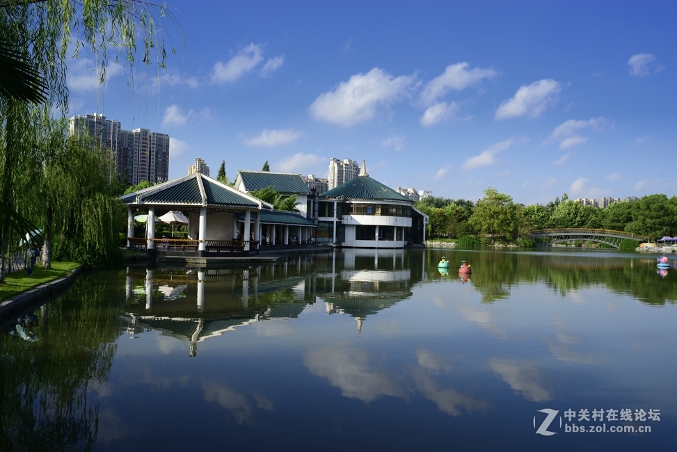 d800+ai28 2.8随拍几张：盛夏