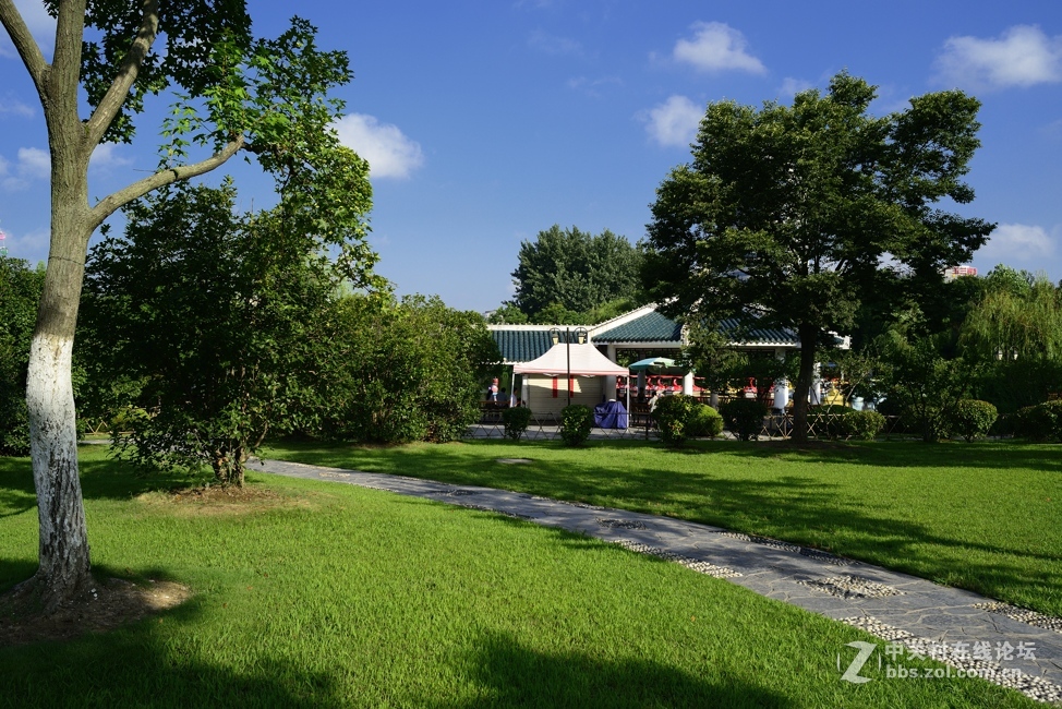 d800+ai28 2.8随拍几张：盛夏