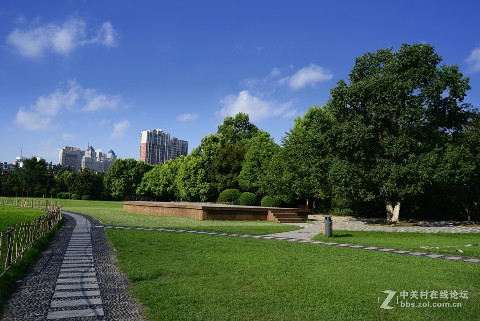 d800+ai28 2.8随拍几张：盛夏