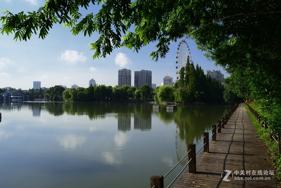 d800+ai28 2.8随拍几张：盛夏