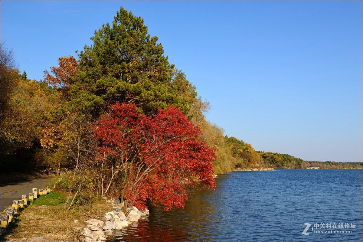 休闲随拍（330）