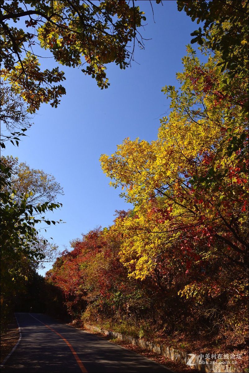 休闲随拍（330）