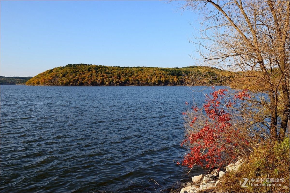 休闲随拍（330）