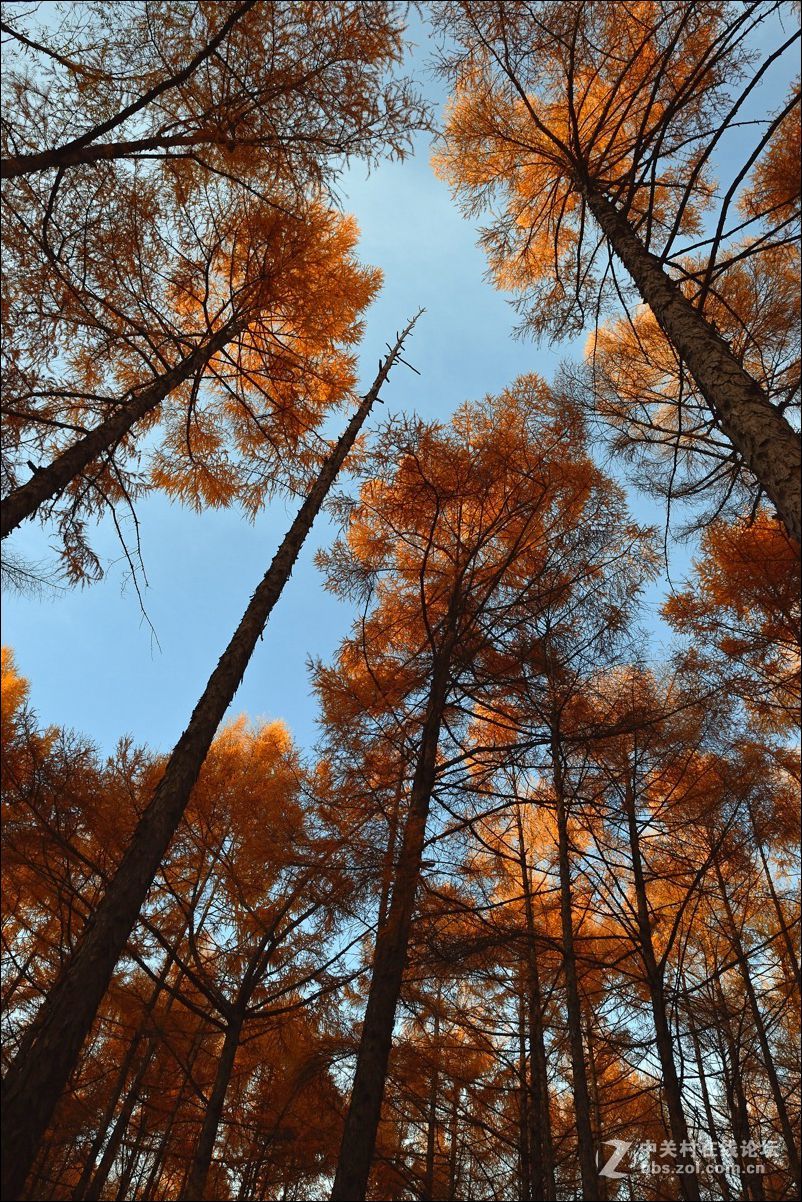 休闲随拍（330）