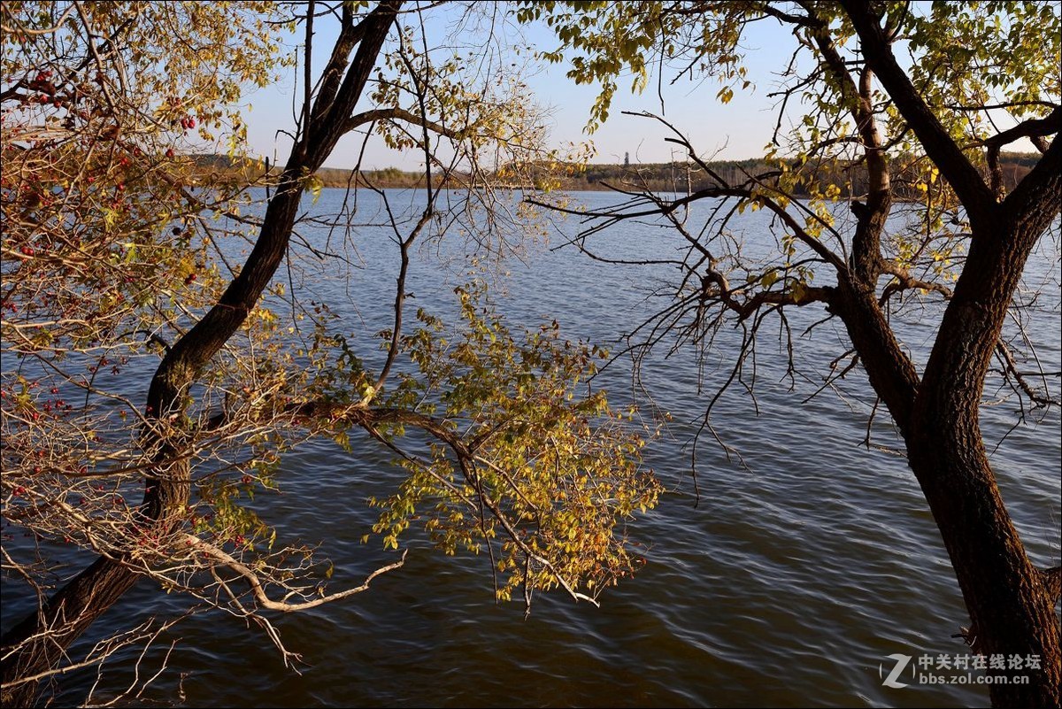 休闲随拍（330）