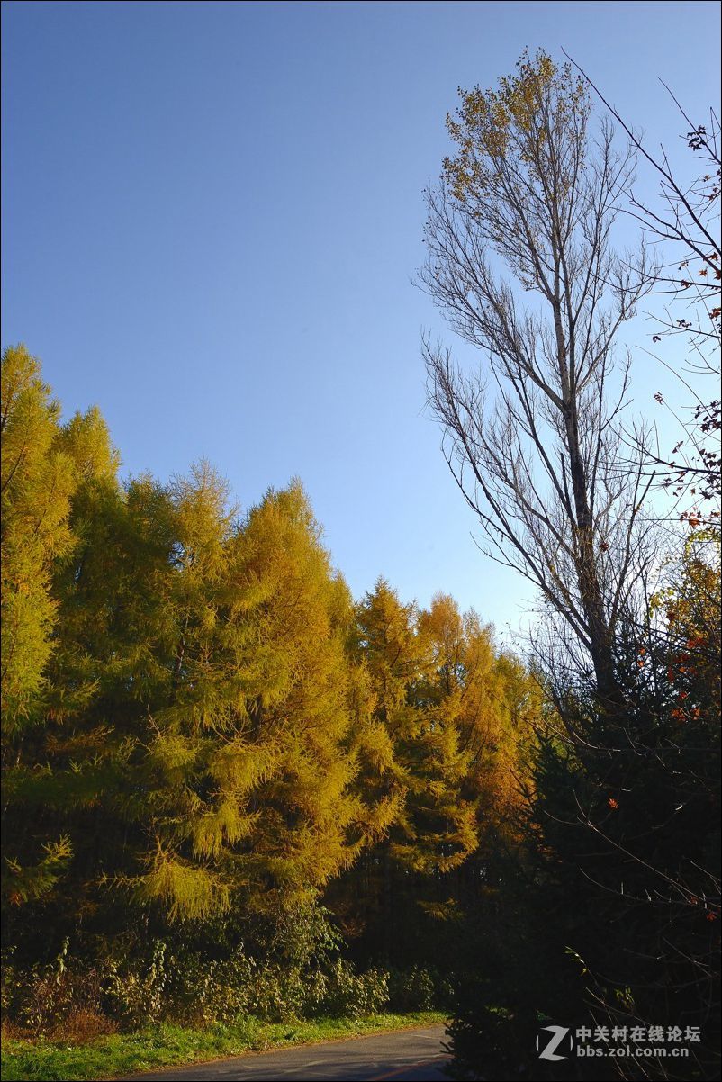 休闲随拍（330）