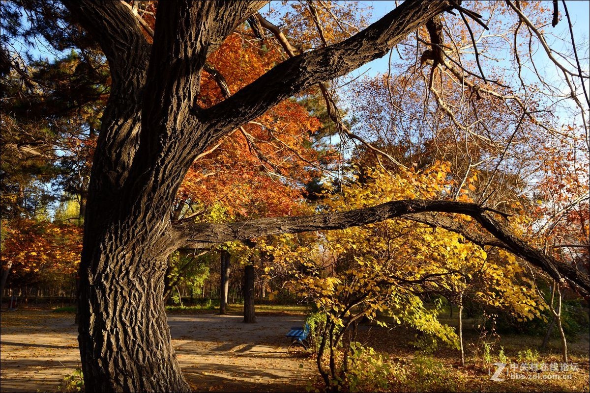 休闲随拍（330）