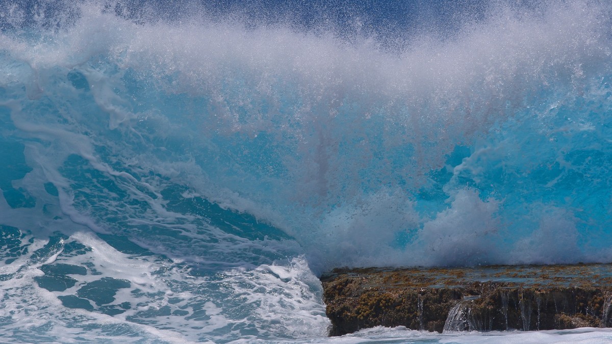 #佳能月赛-人间四月天#在那个浪漫的季节，去了夏威夷……