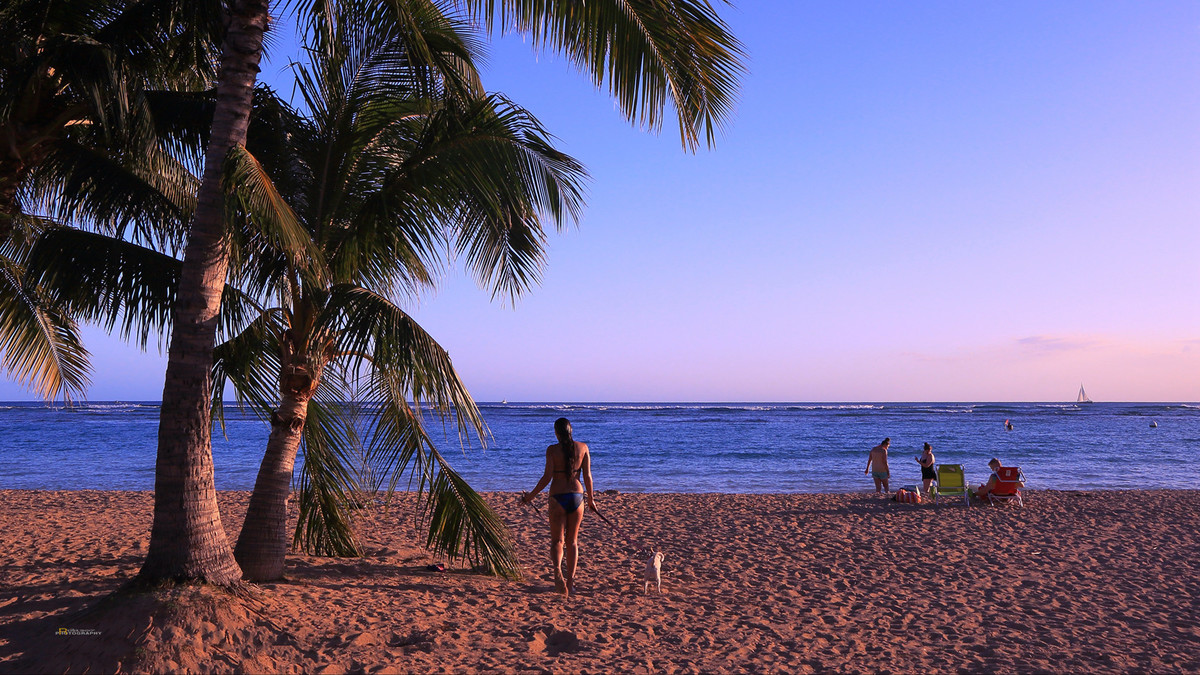 #佳能月赛-人间四月天#在那个浪漫的季节，去了夏威夷……