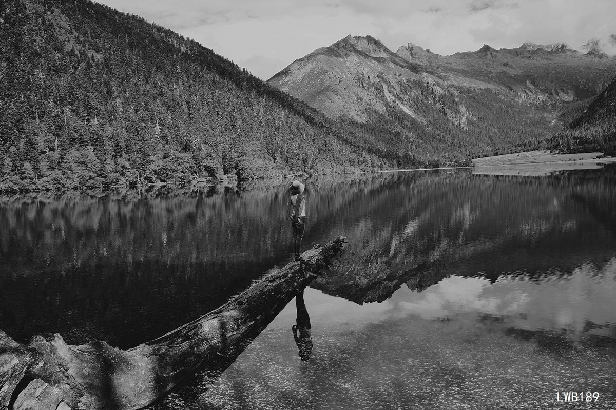 黑白的背影几片