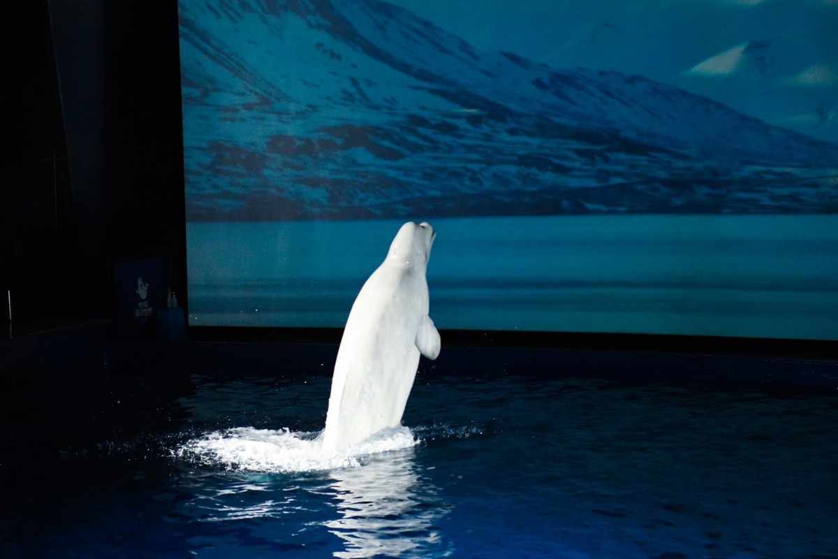 家。。。。。。。。。。。。。