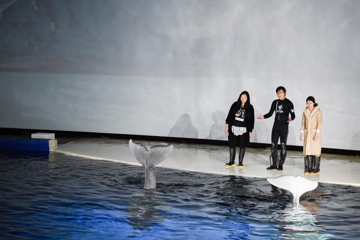 家。。。。。。。。。。。。。