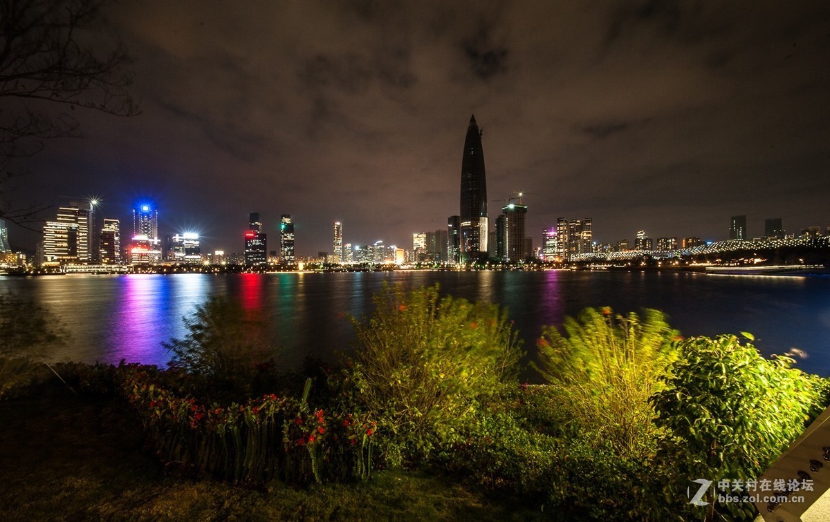 深圳灣人才公園夜景