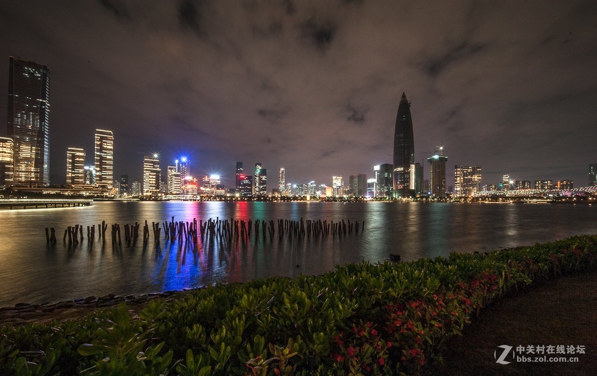 深圳灣人才公園夜景