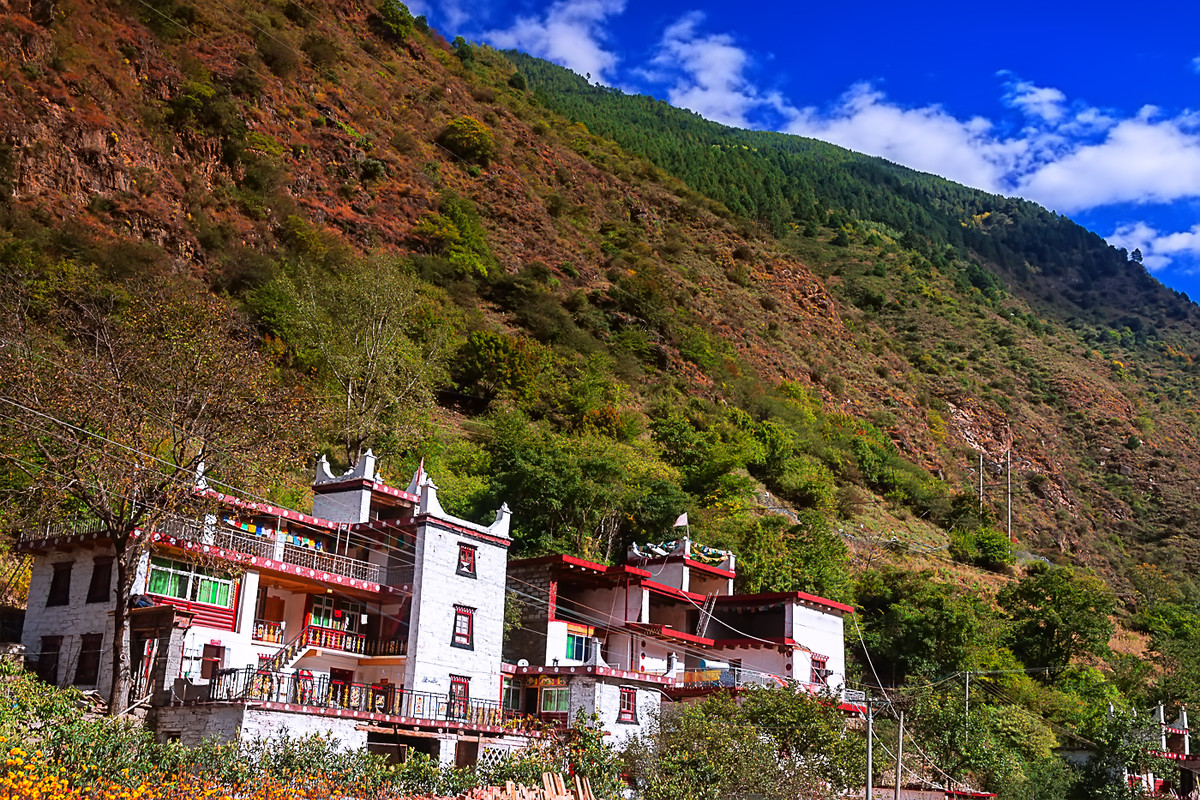 川西风光  《丹巴牦牛谷》