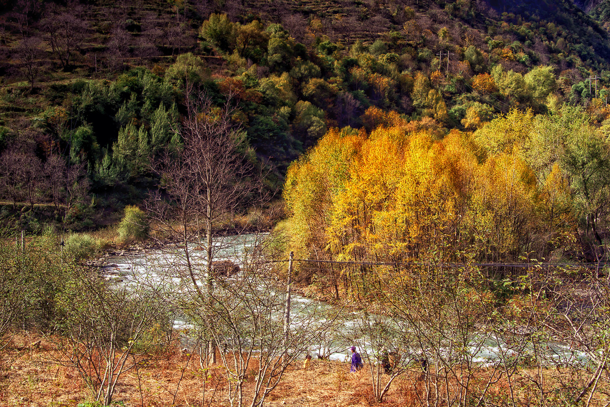 川西风光  《丹巴牦牛谷》