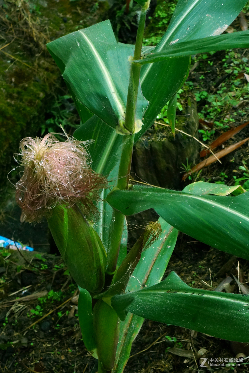 空了吹，学摄影，寻开心。