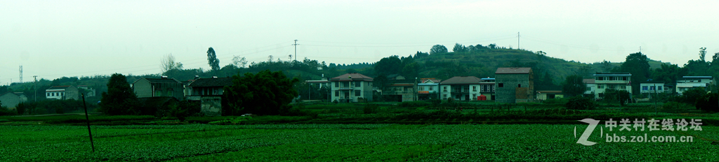 空了吹，学摄影，寻开心。