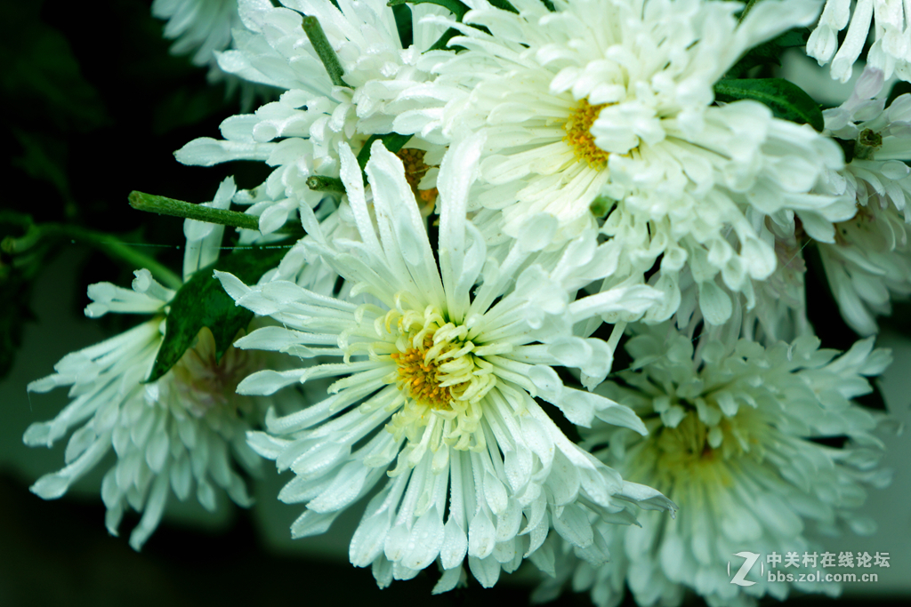 空了吹，学摄影，寻开心。