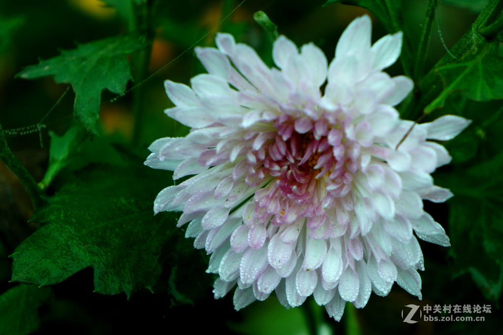 空了吹，学摄影，寻开心。