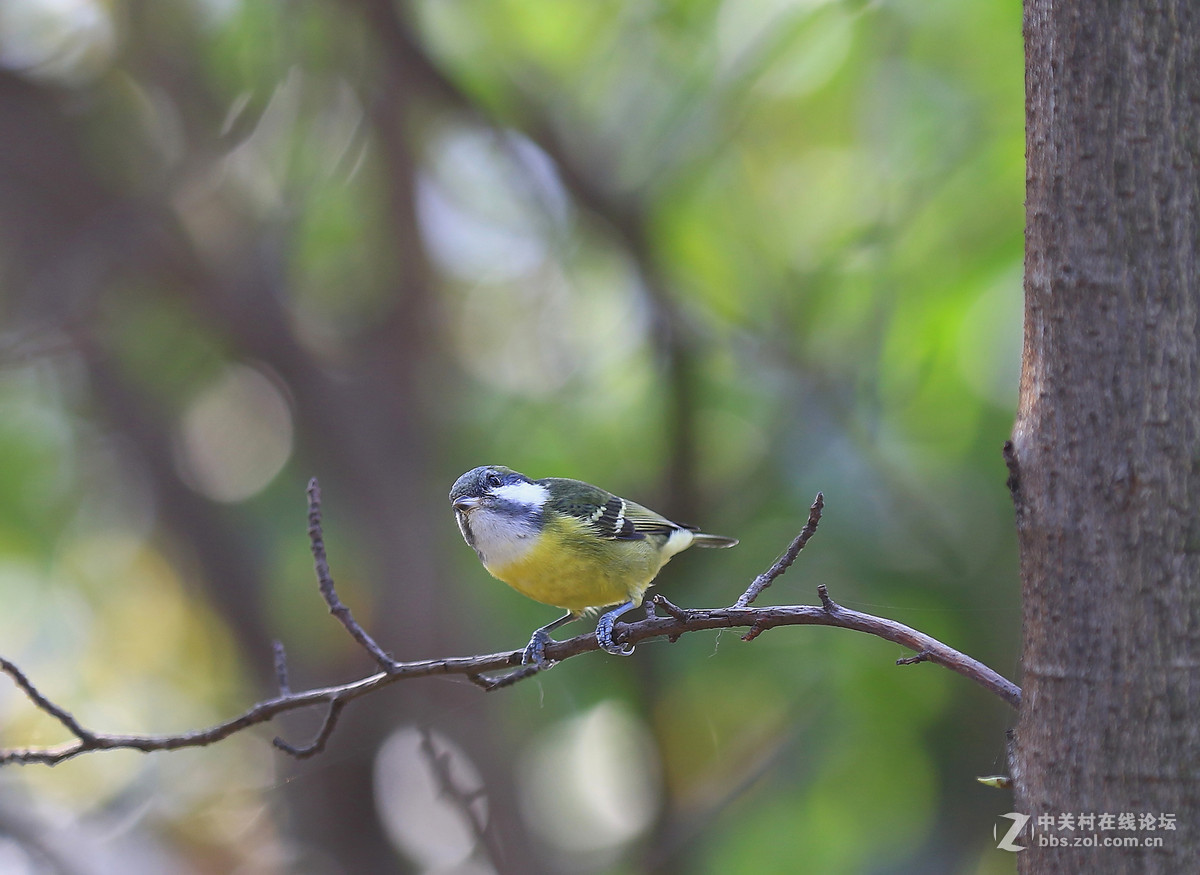 清晨随拍～～～～～～～～