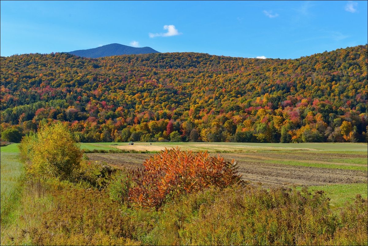 休闲随拍（285）