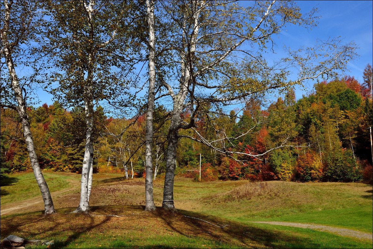 休闲随拍（285）