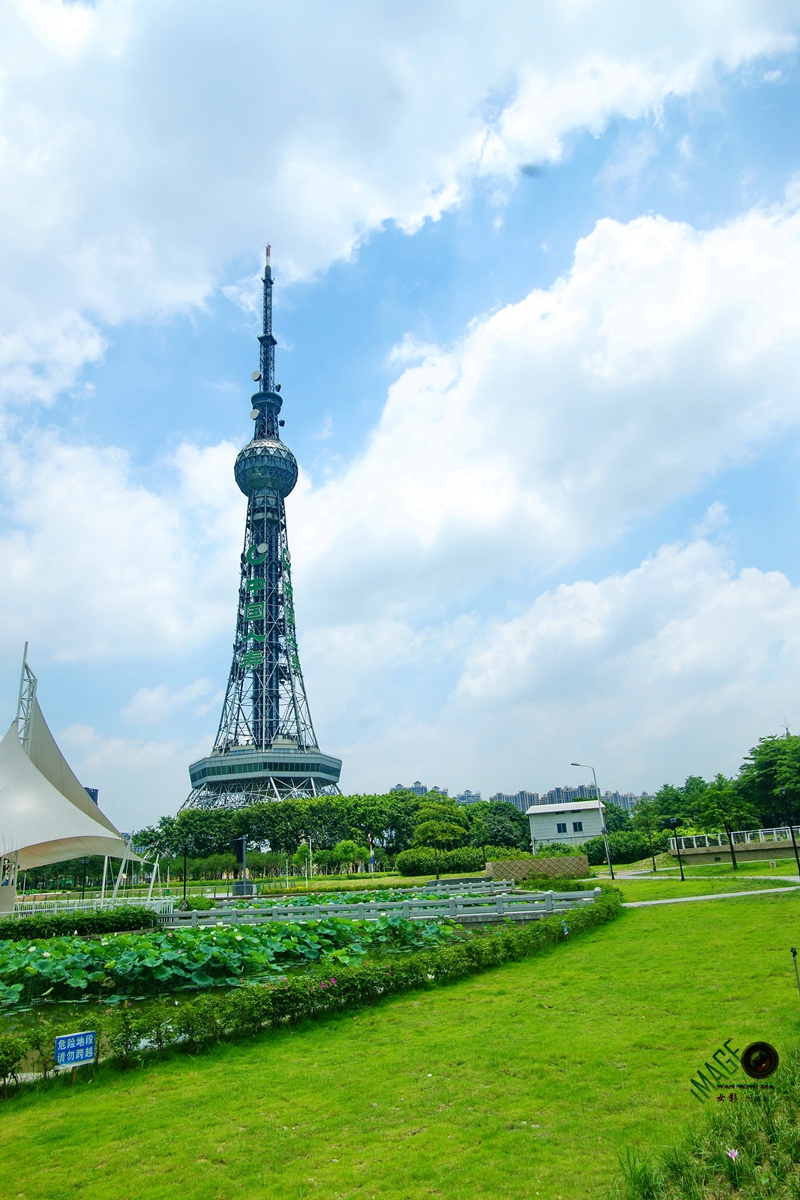 佛山文华公园景色随拍