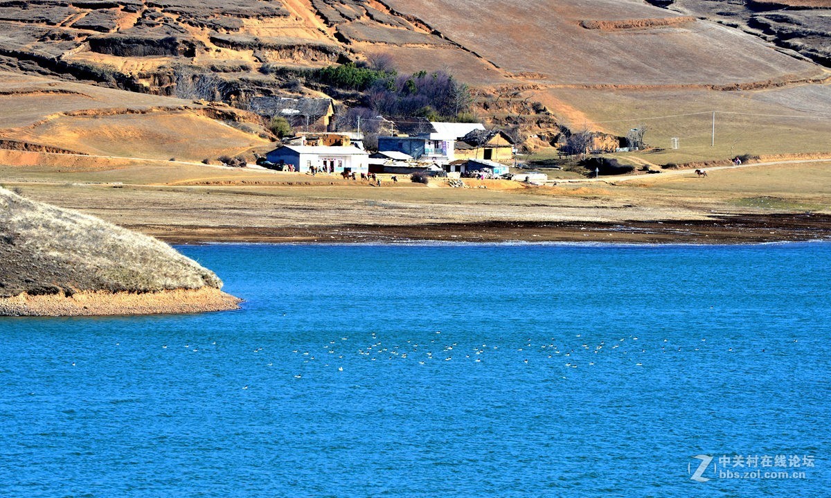 大山包文明用语黑颈鹤自然保护区