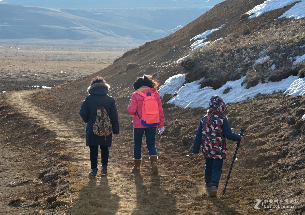 大山包文明用语黑颈鹤自然保护区
