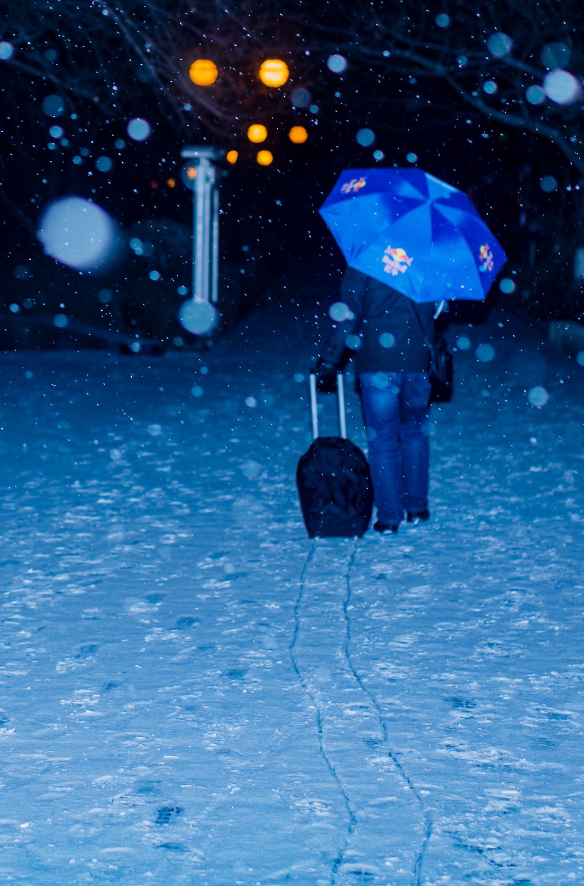 风雪夜归人