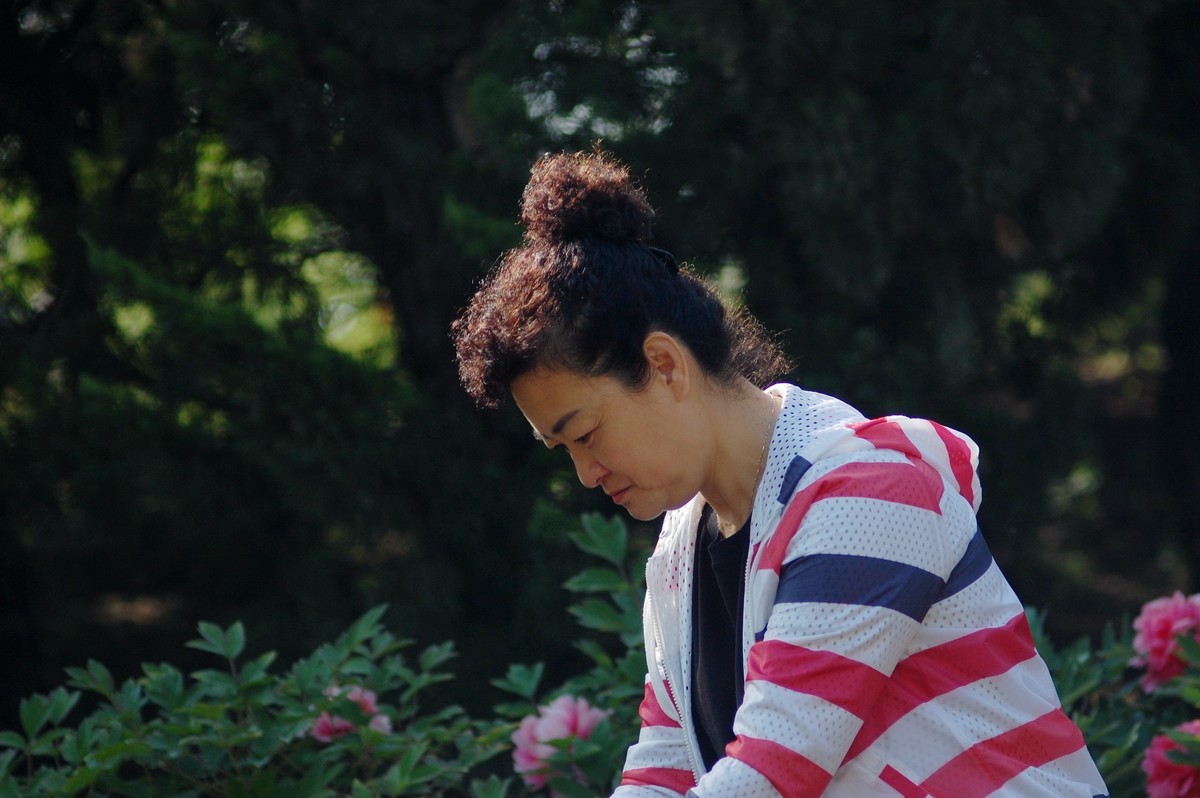 牡丹园里的女士们美