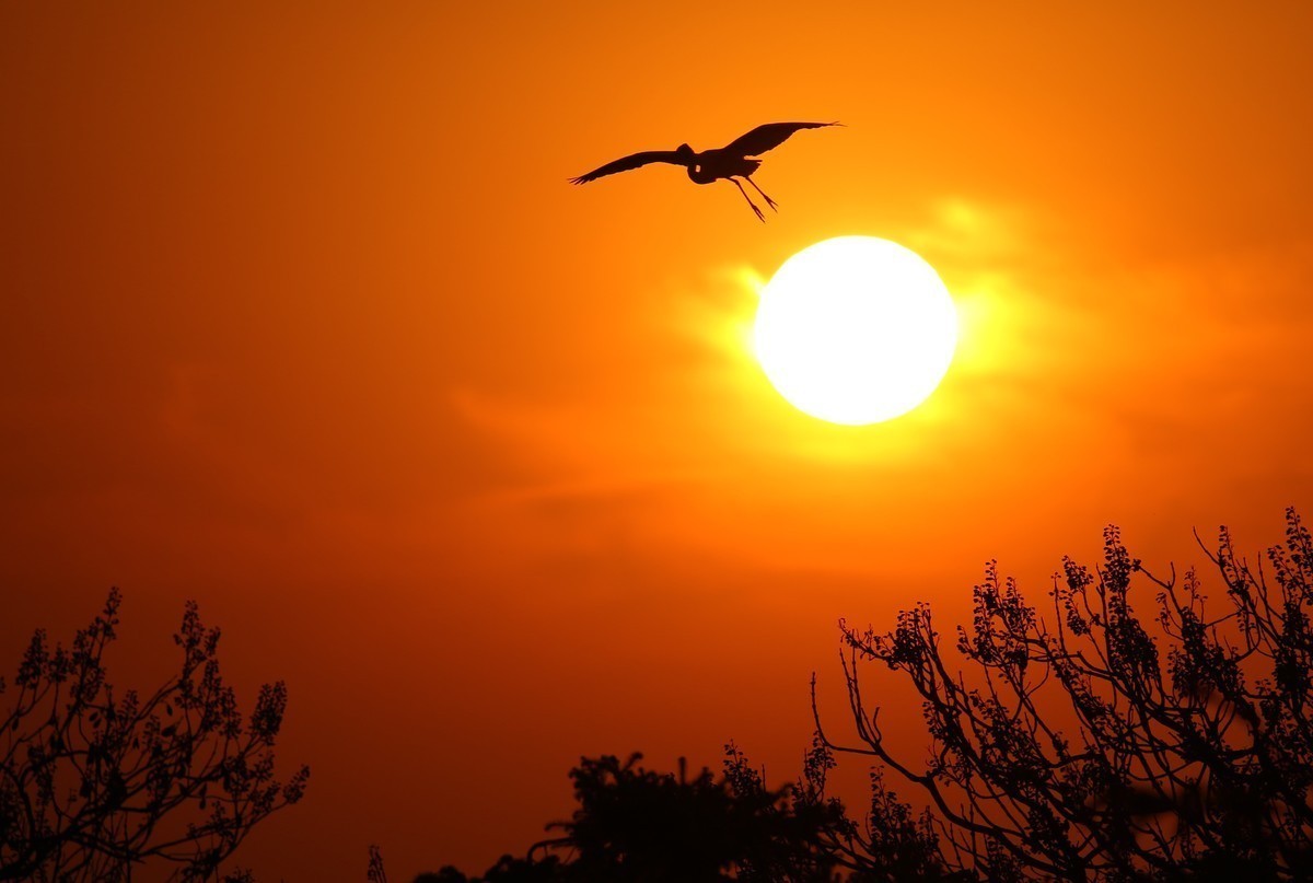 落霞与孤鹜齐飞