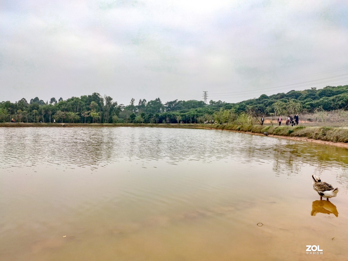 罗田森林公园之《水天一色》手机