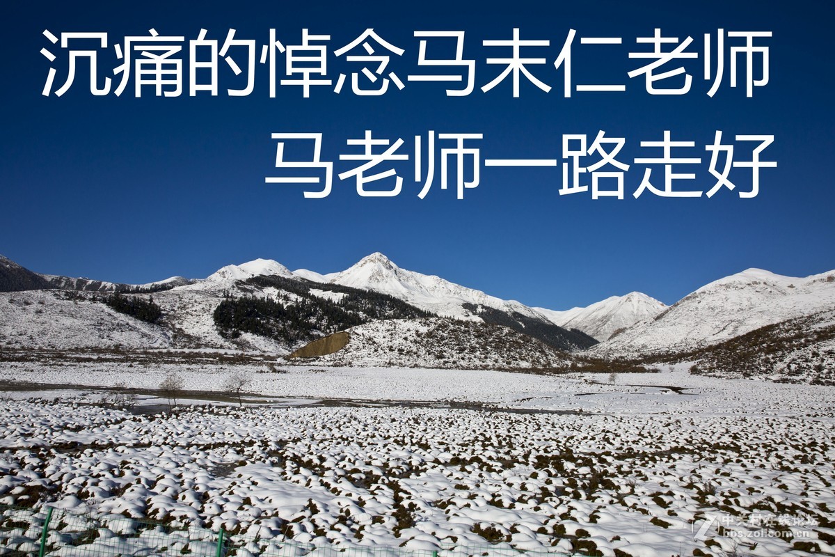 马老师一路走好