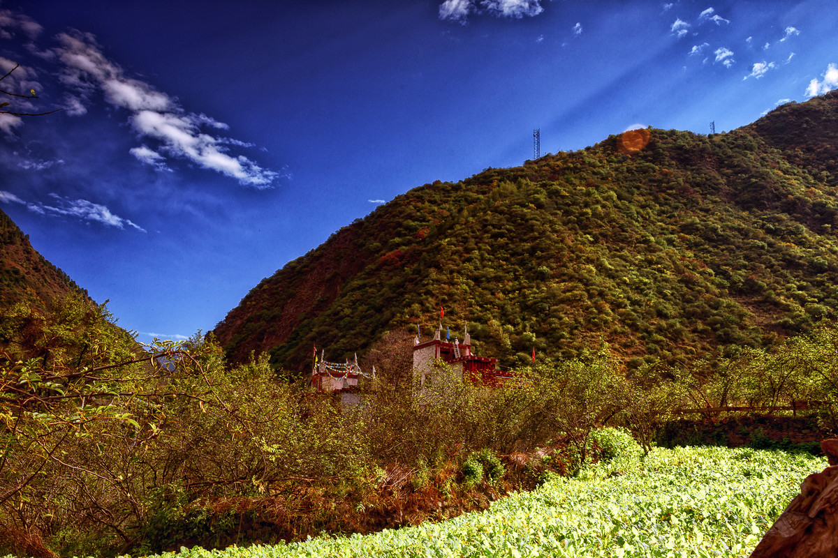 川西风光  《丹巴牦牛谷》