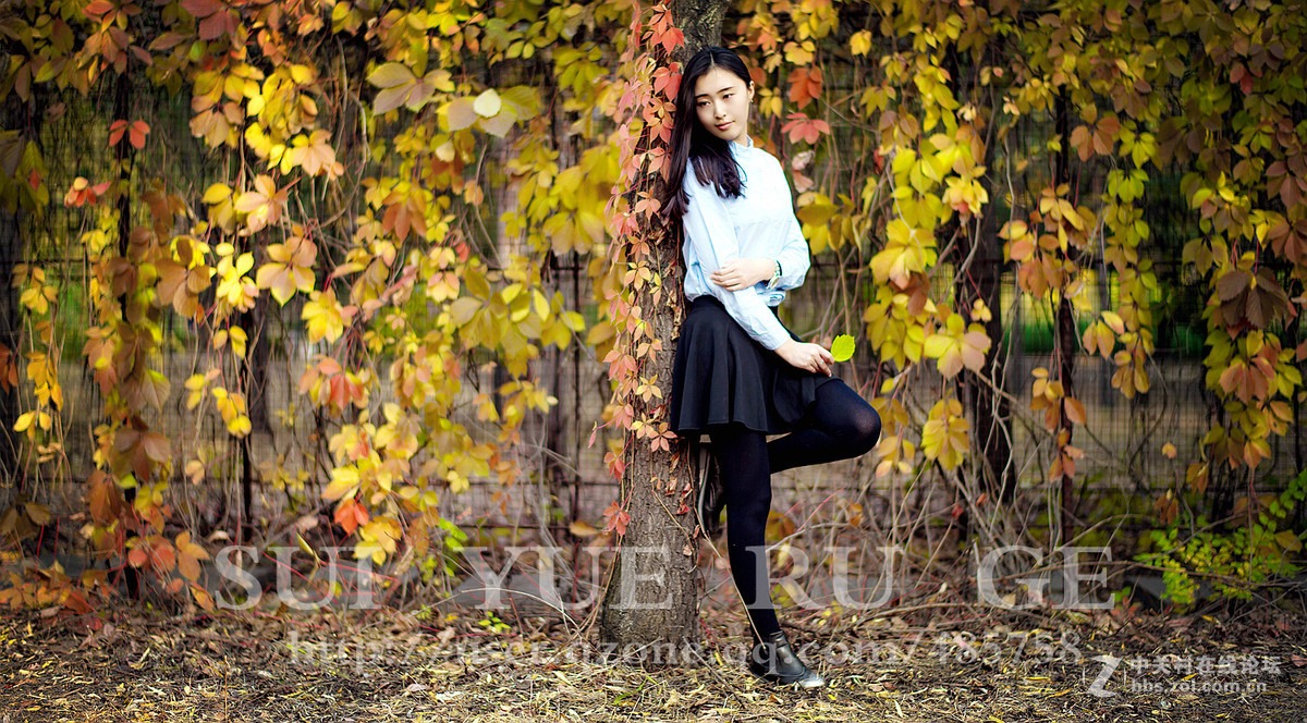 岁月如歌  秋叶人像  尼康 58mm f/1.4G