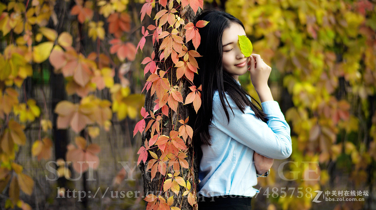 岁月如歌  秋叶人像  尼康 58mm f/1.4G