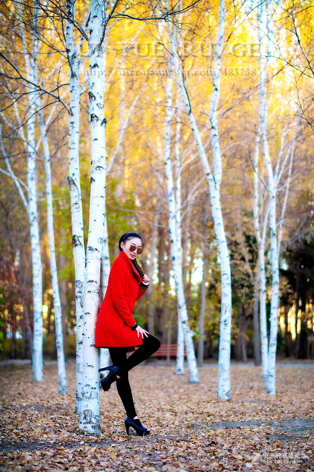 岁月如歌  深秋的火焰  尼康 58mm f/1.4G