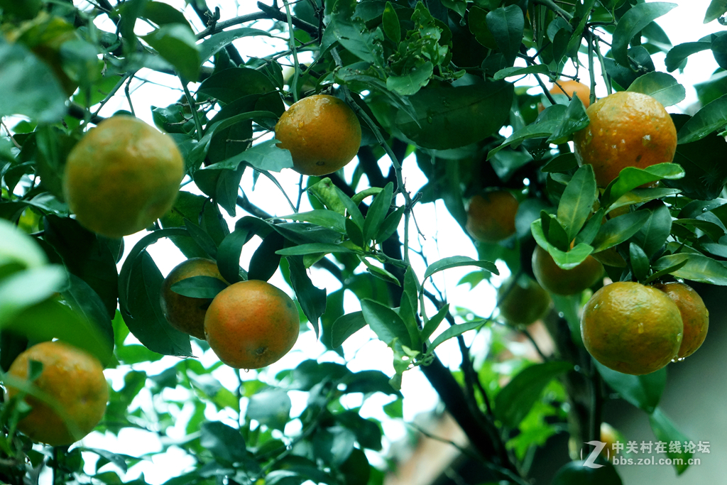 空了吹，学摄影，寻开心。