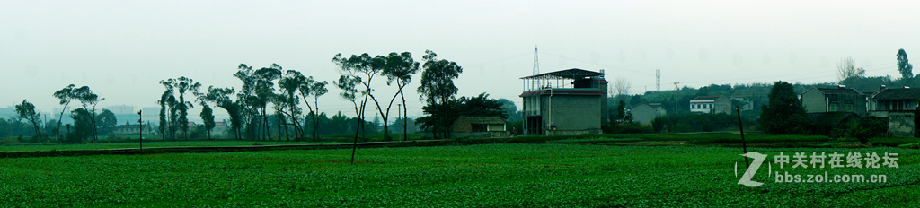 空了吹，学摄影，寻开心。