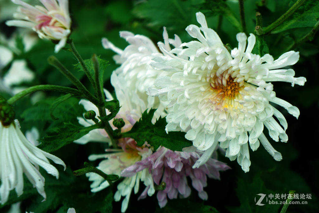 空了吹，学摄影，寻开心。