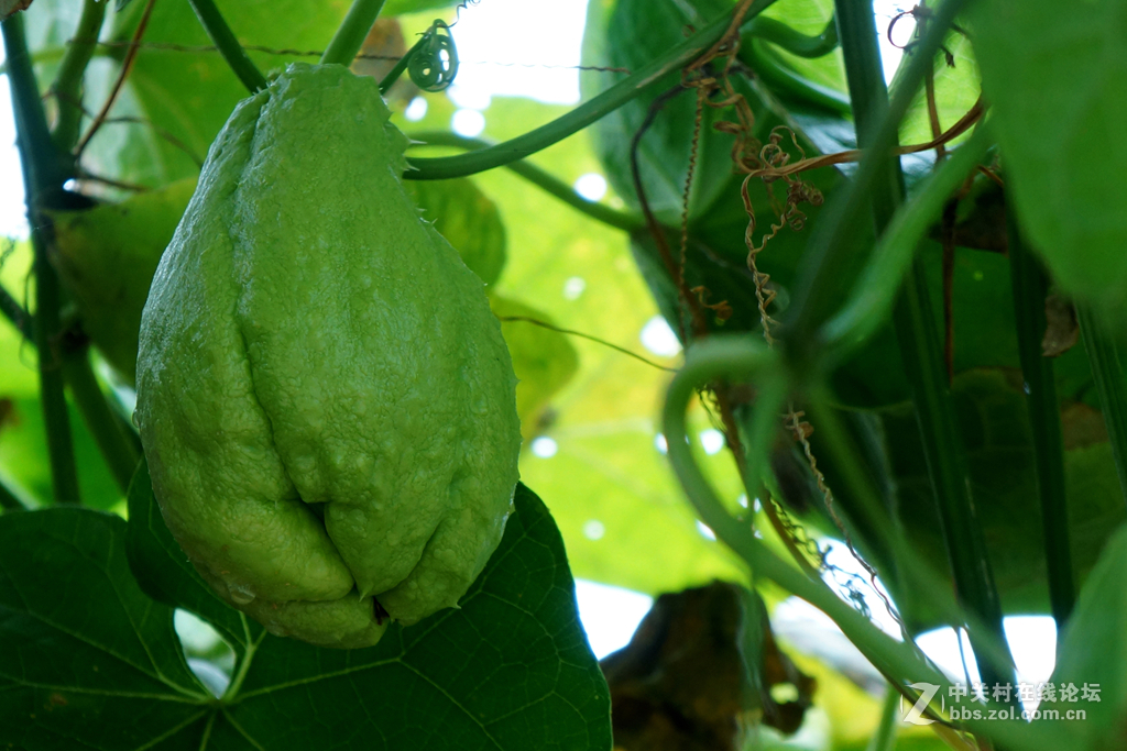 空了吹，学摄影，寻开心。